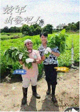 电影天堂 勇者闯关 户外综艺